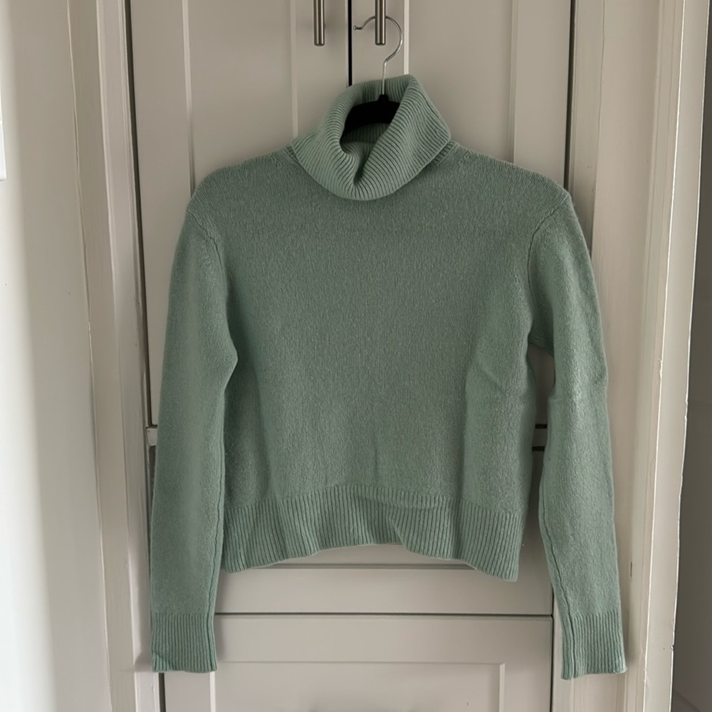 Babaton 100% Cashmere Cropped Turtleneck Sweater